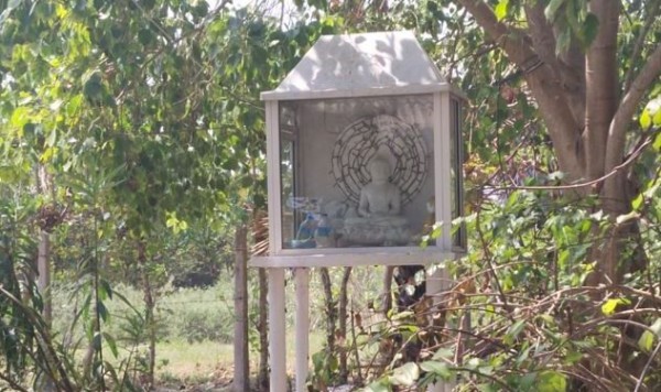 யாழ். சுழிபுரத்தில் திடீரென முளைத்த புத்தர் சிலை